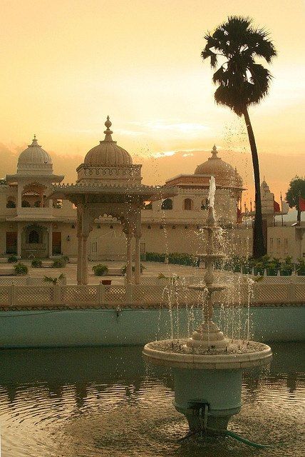 a water fountain in front of a building with a palm tree on the other side