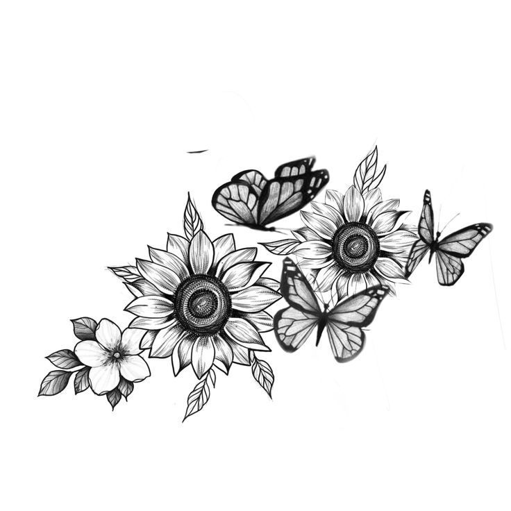 black and white drawing of butterflies flying over sunflowers