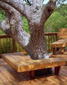 two wooden benches sitting on top of a wooden deck next to a large oak tree