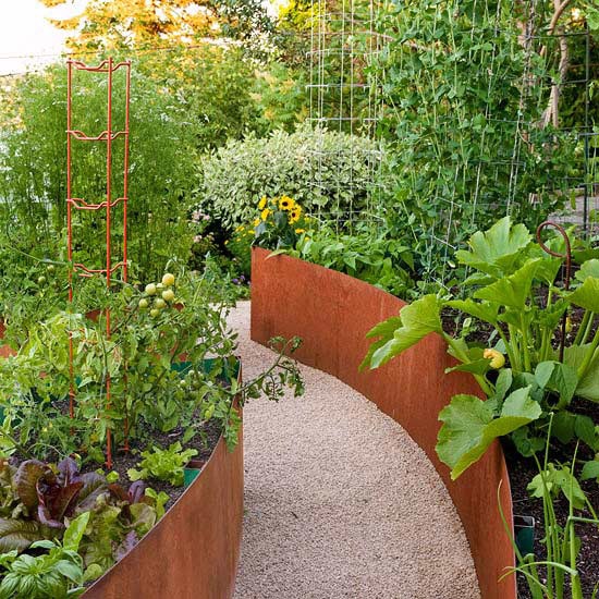 a garden filled with lots of different types of plants