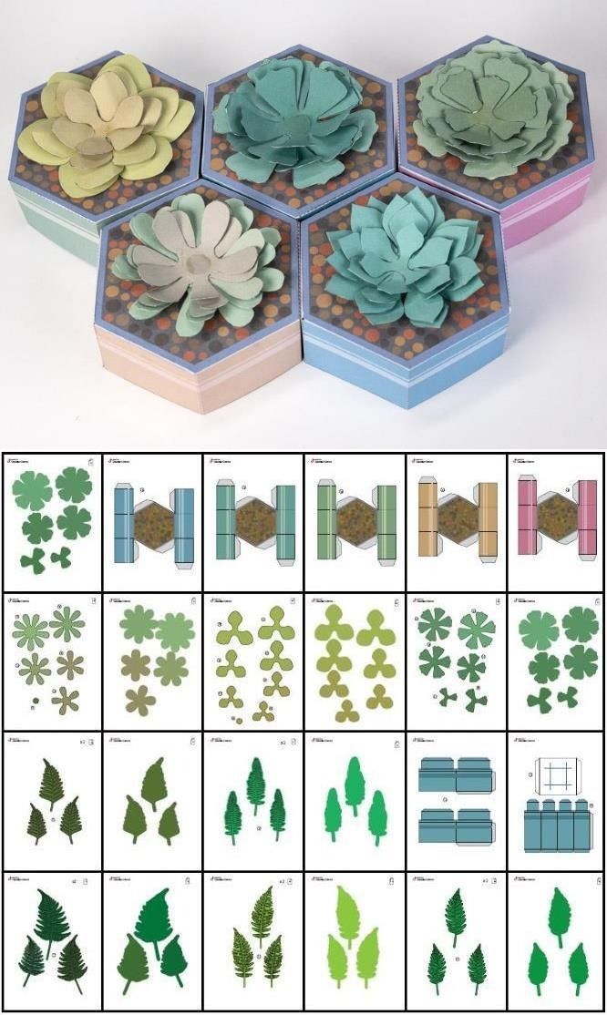 the instructions for how to make paper succulents in different shapes and sizes