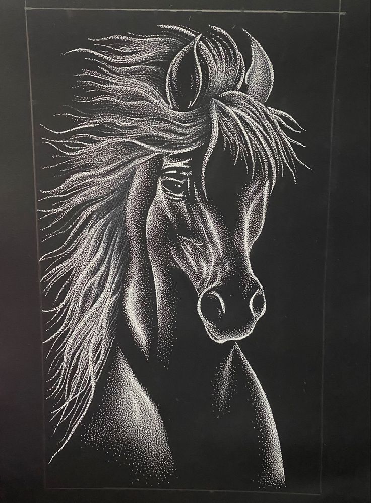 a black and white drawing of a horse's head with hair blowing in the wind