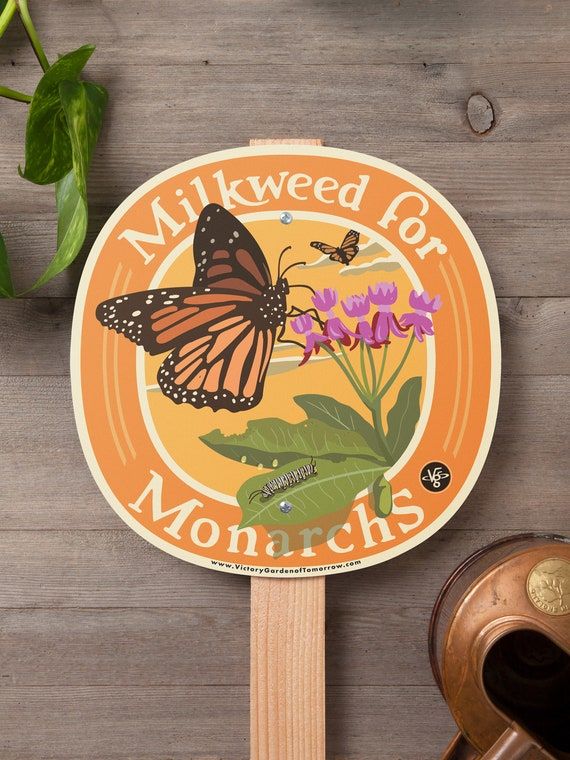 a close up of a butterfly on top of a wooden stick with flowers in the background