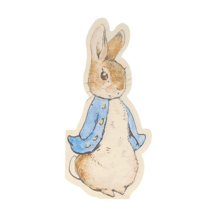 a watercolor drawing of a brown and white rabbit wearing a blue jacket, standing upright