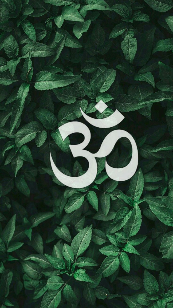 the om shan symbol is surrounded by green leaves