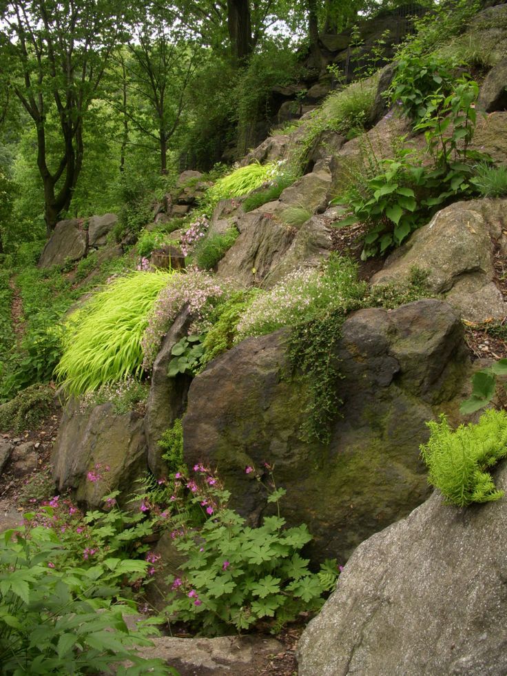 a rocky hillside covered in lots of green plants and flowers next to large rocks with moss growing on them