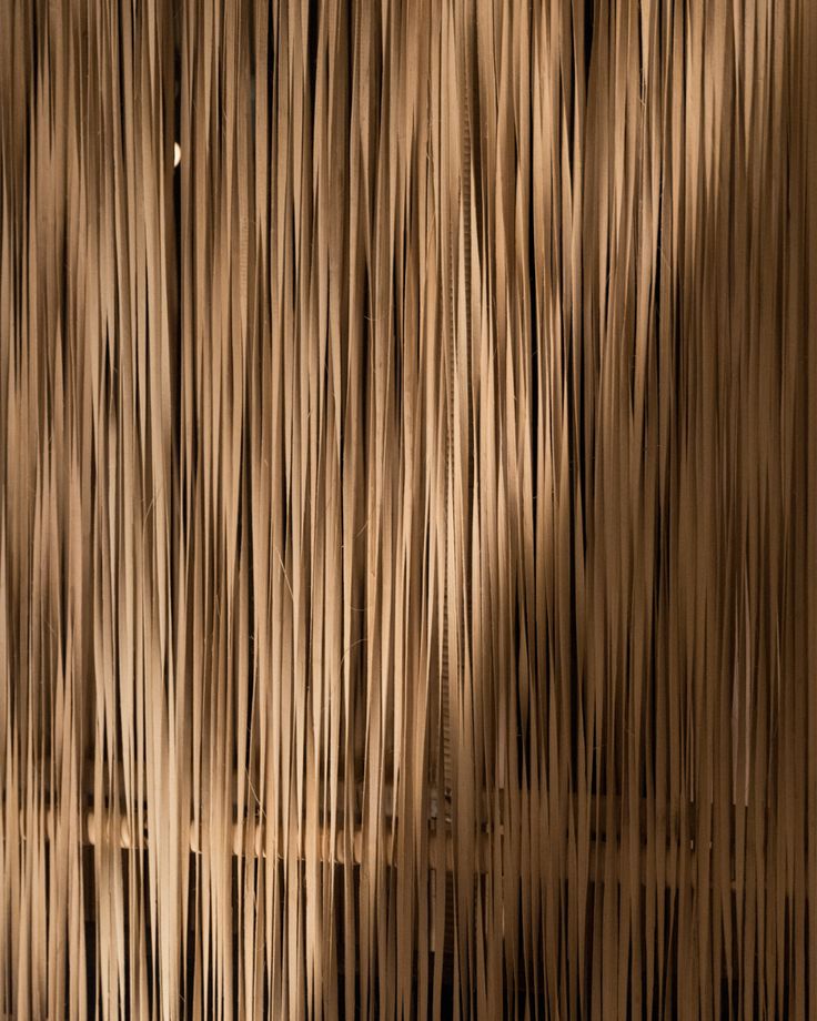 a close up view of some bamboo sticks