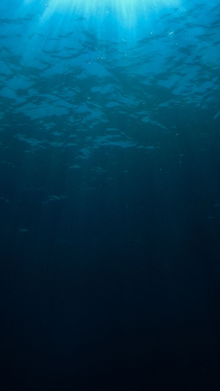 the sun is shining above the water in this photo, it looks like an underwater view