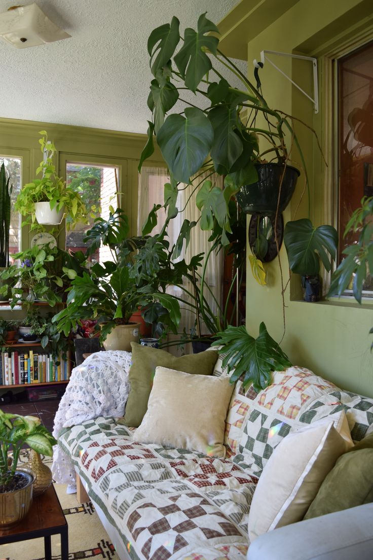 a living room filled with lots of green plants