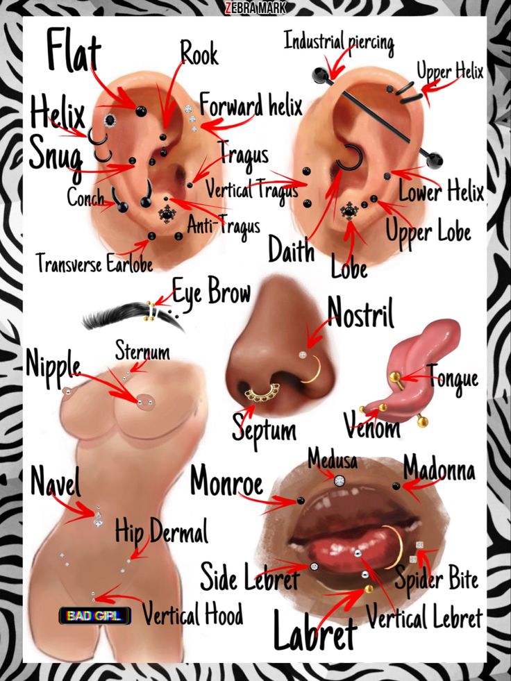 the different types of ear piercings are labeled in this diagram, with their corresponding names