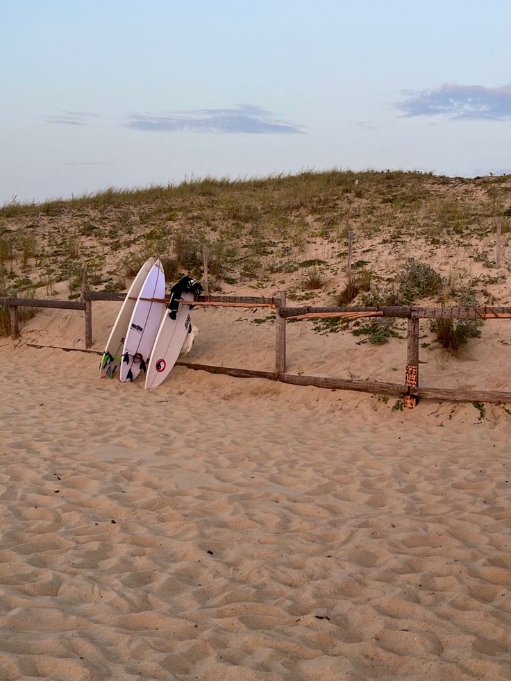 a surfboard laying on its side in the sand near a wooden fence and grass