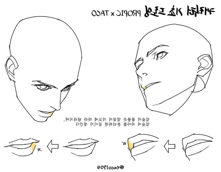 an anime character's face with different angles and facial features, including the nose