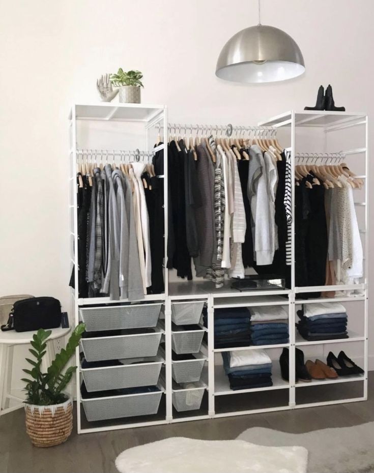 an organized closet with clothes hanging on shelves and baskets in front of the door, next to a potted plant