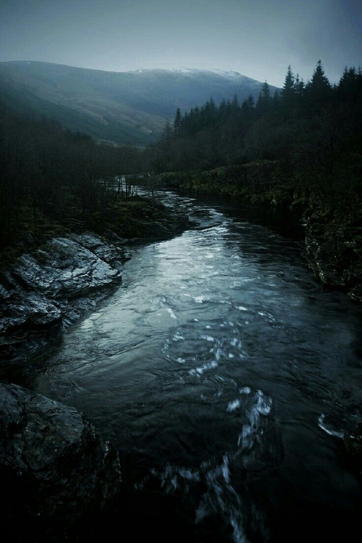 a river running through a lush green forest under a foggy sky with mountains in the distance