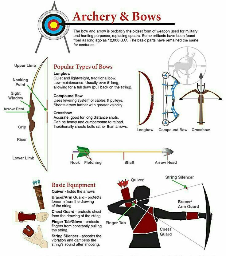 an info sheet describing archery and bows