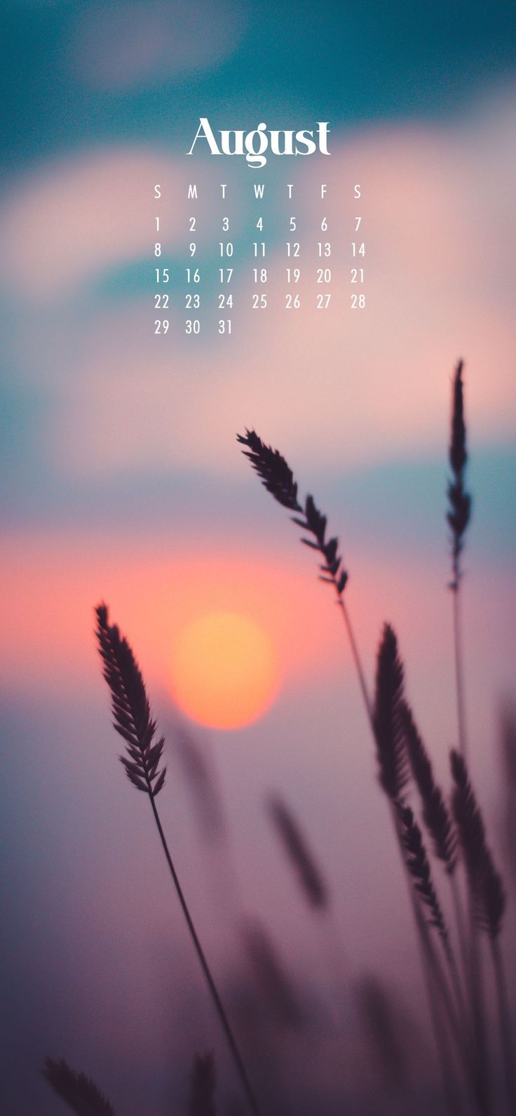 a calendar with the sun setting in the background and some grass blowing in the foreground