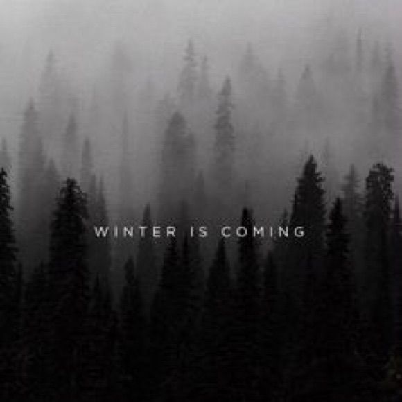 the words winter is coming written in black and white on a foggy forest background