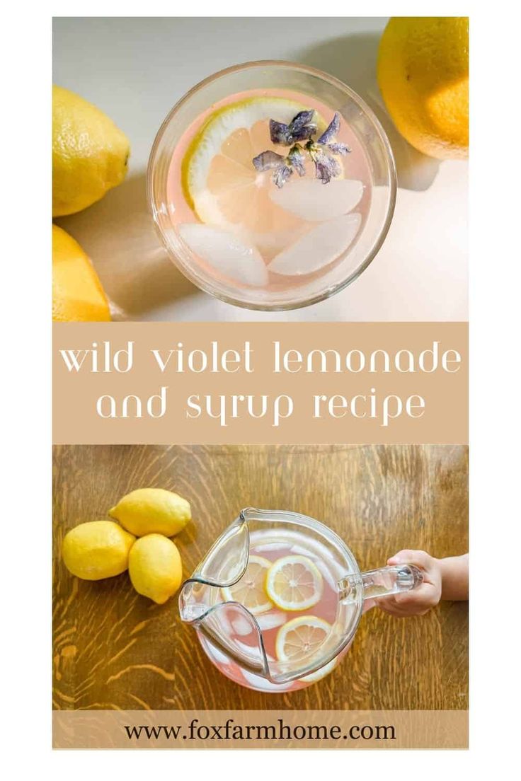 the recipe for wild violet lemonade and syrup is shown in two different pictures, one with