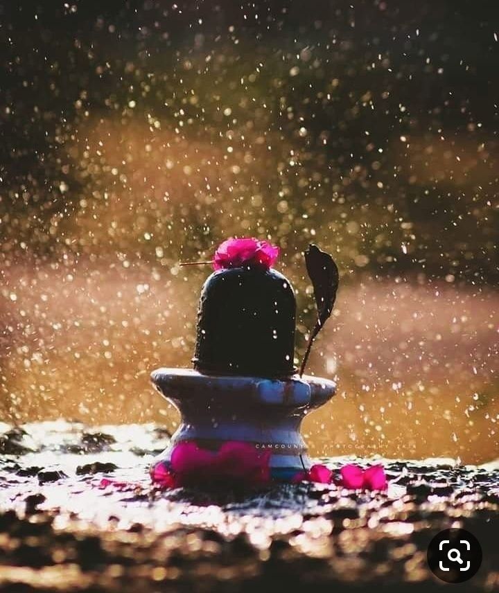 a potted plant sitting on top of a water fountain with pink flowers growing out of it