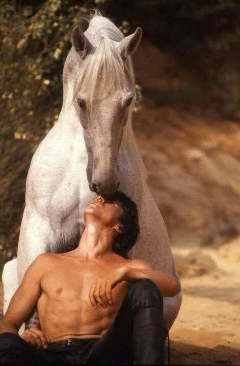 a man laying on the ground next to a white horse with his face close to him