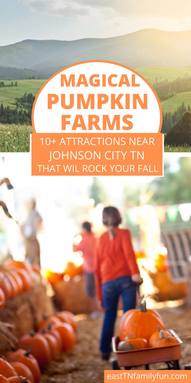 an image of pumpkins at the farm with text overlay that reads, magic pumpkin farms 101 attractions near johnson city tn that will rock your fall