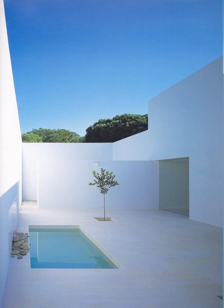 an empty swimming pool in the middle of a white walled building with a small tree next to it