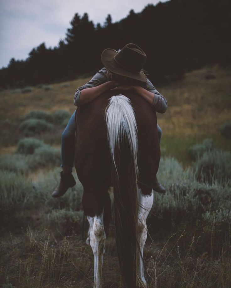 a man riding on the back of a brown and white horse in a grassy field