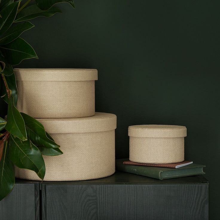 three round storage containers sitting on top of a black table next to a plant and books