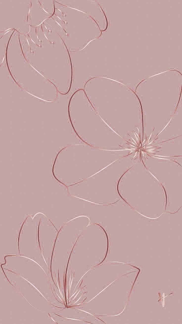 three flowers are drawn on a pink background