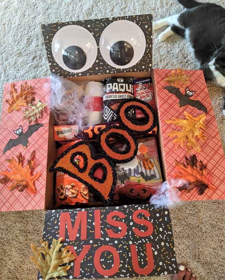 a cat laying on the floor next to a box with halloween decorations and other items