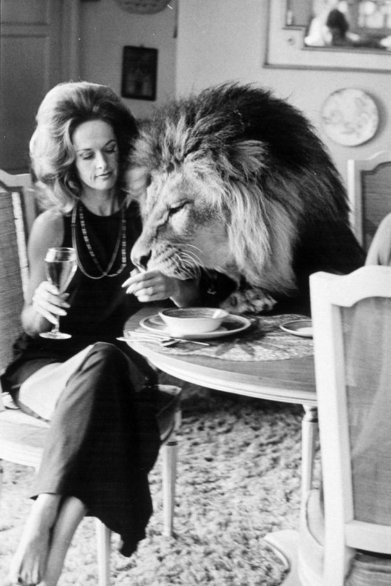 a woman sitting at a table with a lion eating food