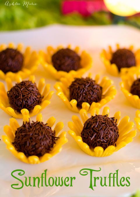 chocolate sunflower truffles on a white plate