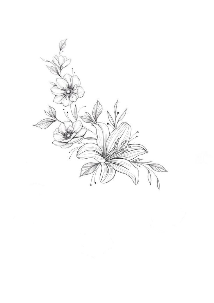 a drawing of some flowers on a white background