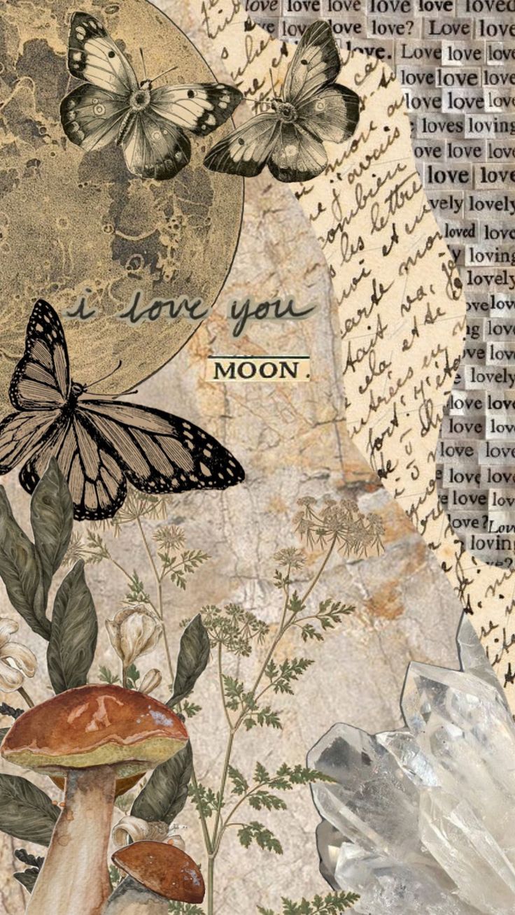 altered photograph of butterflies and mushrooms with words above them that read i love you to the moon