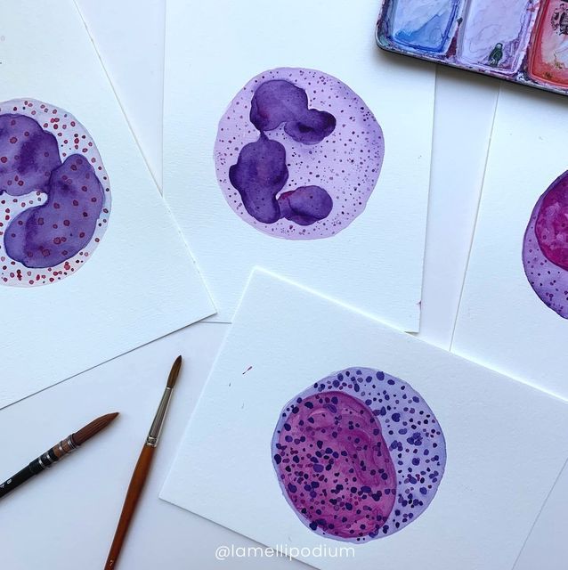 four watercolor paintings of purple and red circles on white paper with paintbrushes