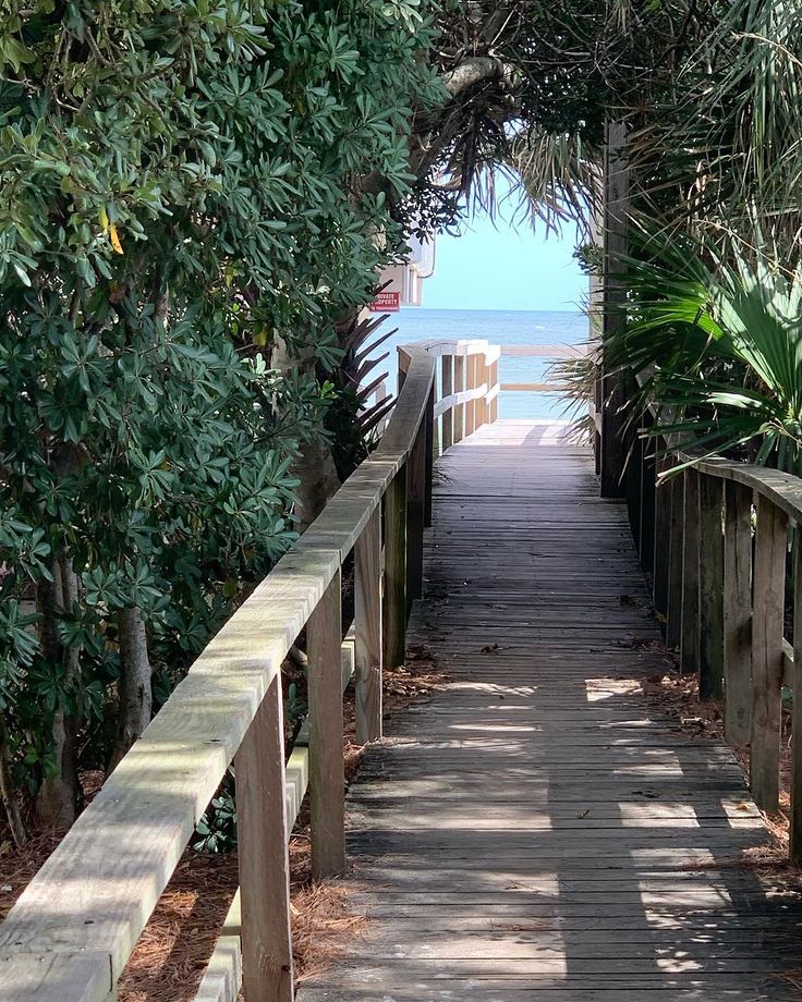 a wooden walkway leading to the beach with trees on both sides and water in the background