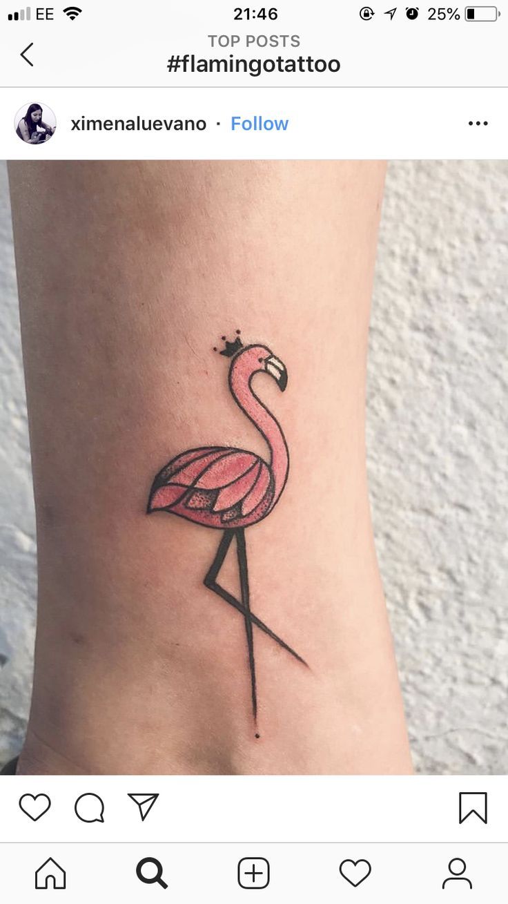 a flamingo tattoo on the ankle is shown in black and pink ink, with an arrow