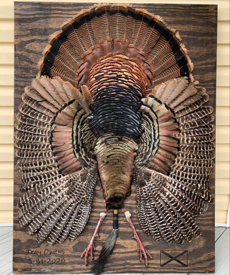 a large turkey is mounted on a wooden plaque