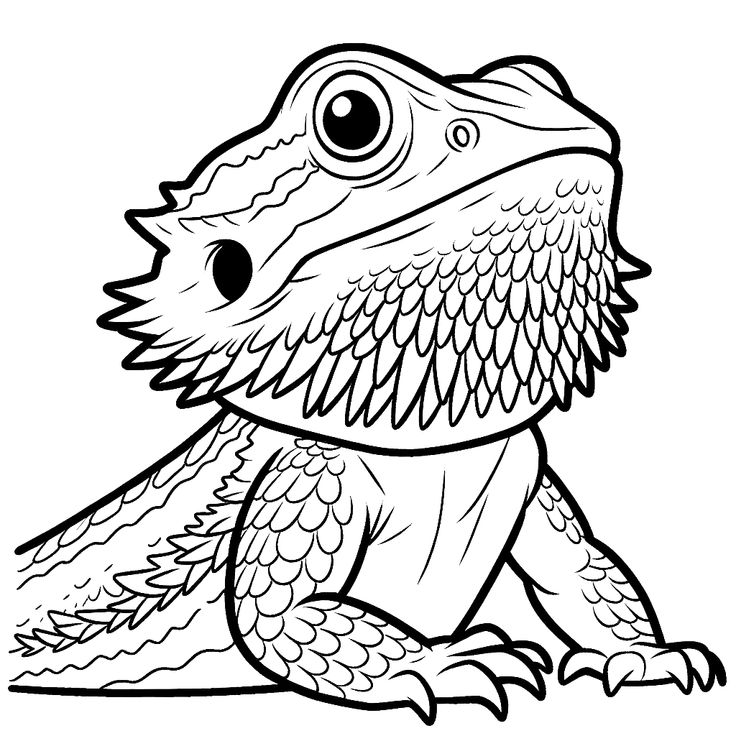 a lizard sitting on the ground coloring page