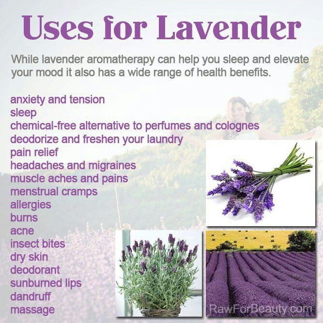 lavender uses for lavender and how to use it