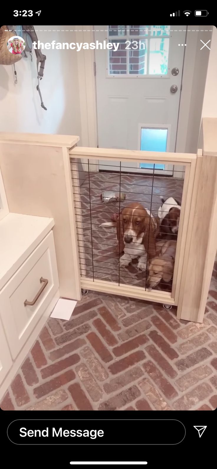 there is a dog that is in the cage