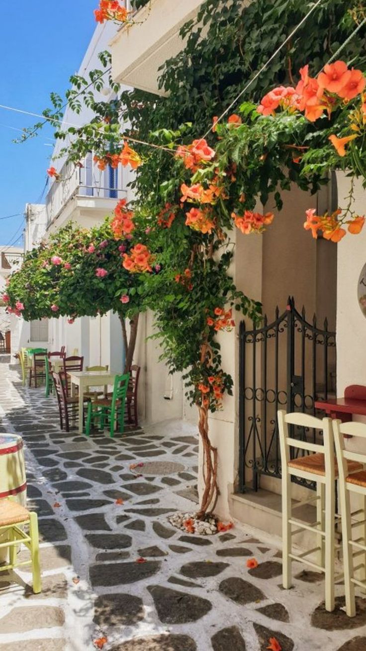 an alley way with tables and chairs lined up against the wall, next to flowers