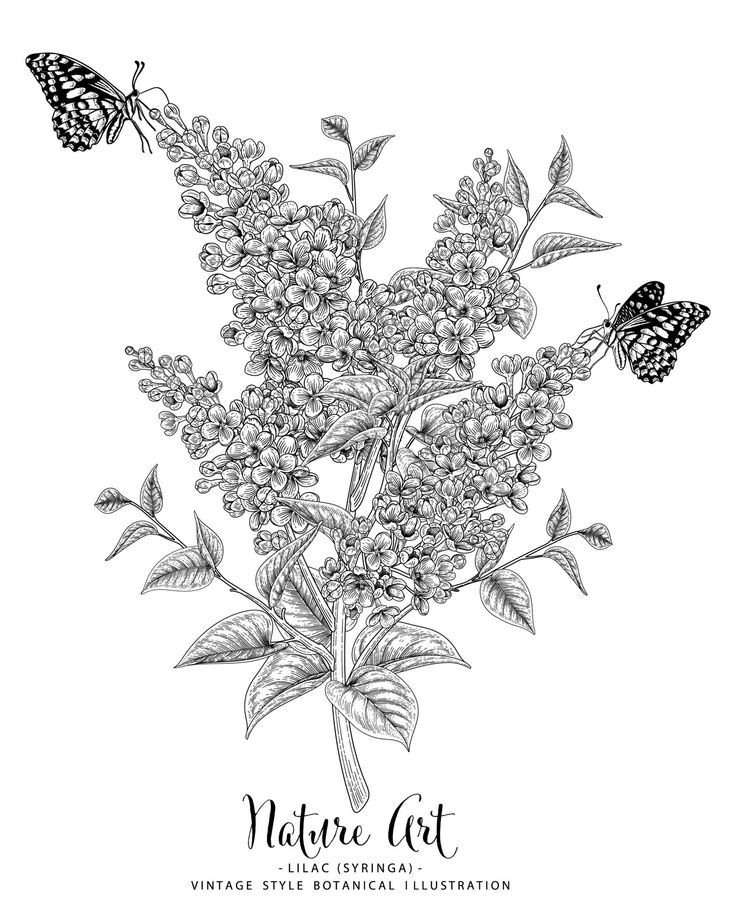 a black and white drawing of flowers with butterflies