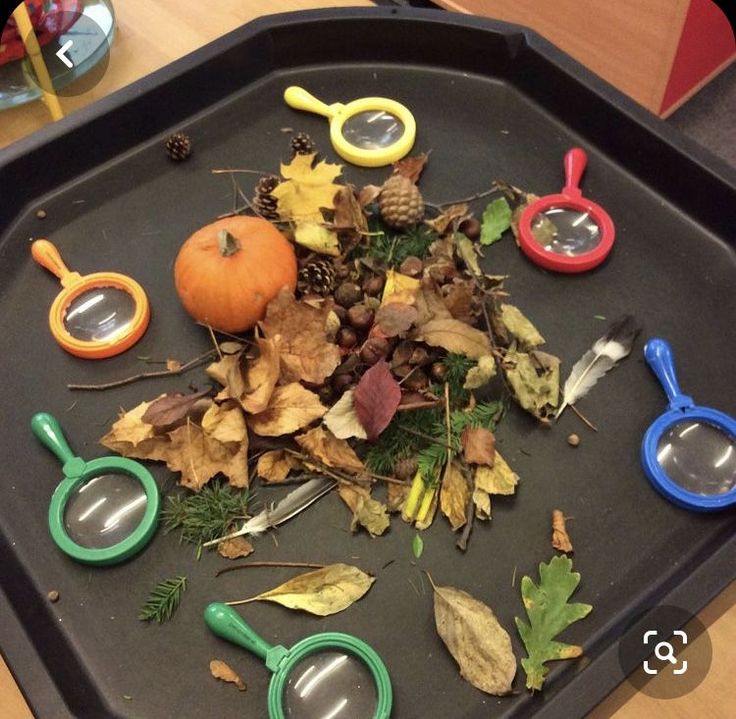 a tray filled with lots of leaves and toys