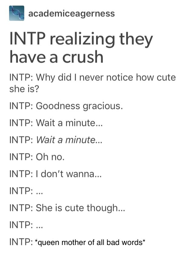 Intp Boyfriend Aesthetic, Intj Intp Ship, Intp Boyfriend, Intp Male, Intj Intp Friendship, Intp 5w4, Intp Memes Funny, Intp Things, Mbti Intp