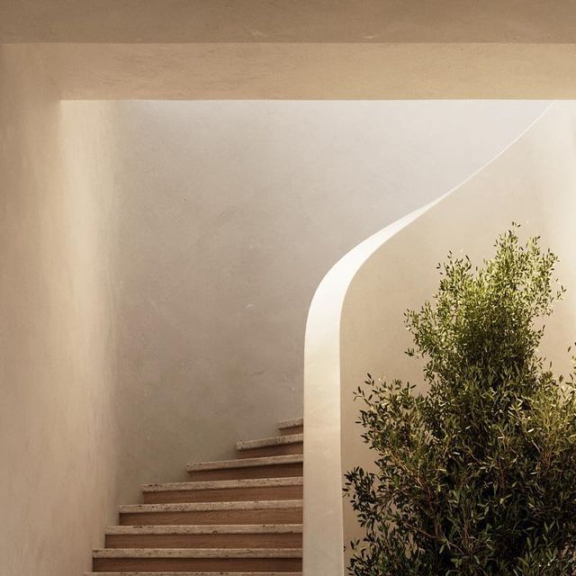 the stairs are made of wood and have planters on each side, along with potted plants