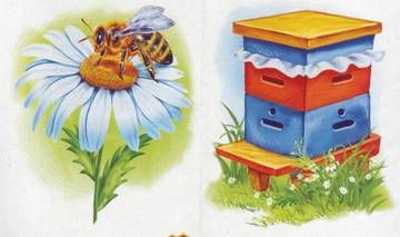 two beehives and a flower with bees on them