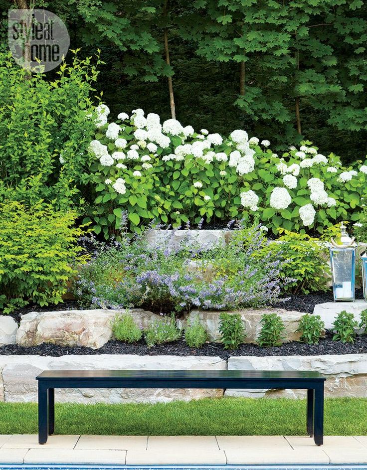 a bench sitting in front of a pool surrounded by trees and bushes with white flowers