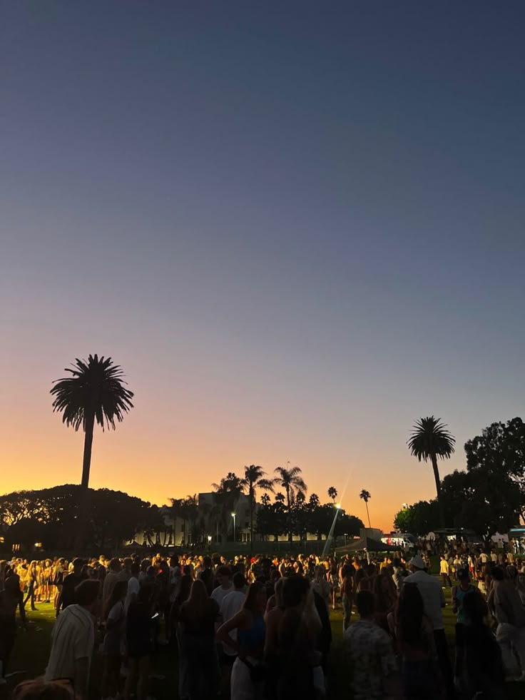 a crowd of people standing on top of a lush green field next to palm trees