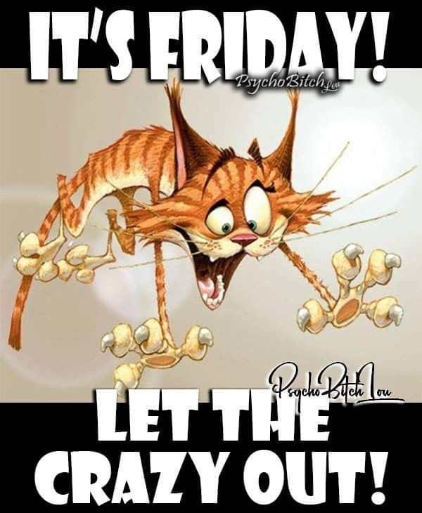 an image of a cartoon cat that is saying it's friday let the crazy out